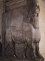 <p>Khorsabad : taureau ailé du palais de Sargon II (Musée du Louvre).</p>